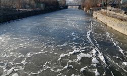 Kars’ta Soğuk Hava Etkisiyle Doğa Buzla Kaplandı