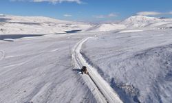 Van'da Kar ve Tipi Nedeniyle Kapanan 119 Yerleşim Yeri Yeniden Ulaşıma Açıldı