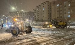 Van’da Yoğun Kar ve Tipi Nedeniyle Eğitime 1 Gün Ara Verildi