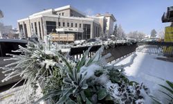 Ağrı'da soğuk hava etkisi