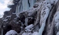 Erzincan’da ‘Doğanın’ Görsel Sanatı