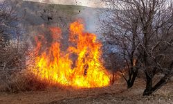 Çemişgezek’te Otluk Arazide Yangın