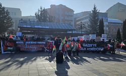 Erzurum'da Hekim ve Sağlık Çalışanlarından 60. Hafta Protestosu: "İsrail Bir Terör Devletidir"