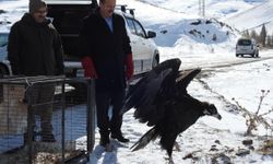 Erzurum'da Tedavi Edilen Kara Akbaba Özgürlüğüne Kavuştu