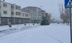 Muş'ta Kar Yağışı 15 Köy Yolunu Kapanmasına Neden Oldu