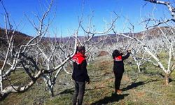 Erzincan'da uyarıları geldi