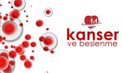 Kansere karşı savaşan güçlü besinler