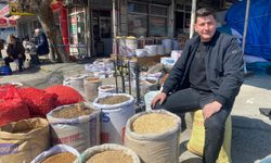 Mart ayında hangi sebzeleri ekmelisiniz