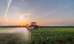Tarımda doğru Pestisit kullanımı nasıl olmalı? (VİDEO)