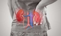 Böbrek Üşütmesini Basit Sanmayın, Ciddi Sorunlara Yol Açabilir