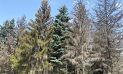 Erzincan’da tabloyu andıran manzara