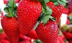 Çilekler Küflenmesin! Bu Yöntemle Günlerce Taptaze Kalıyor
