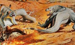 Megafauna Felaketi: Yok Oluşdan İnsan mı, İklim mi Sorumlu?