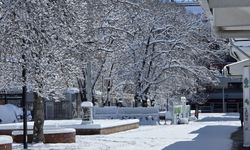Erzincan Kışa Giriyor: Bugün Kar Yağışı Bekleniyor