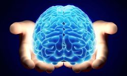 Bilim Alzheimer'a Karşı Yeni Bir Umut Işığı Yakıyor!