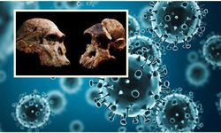 Neandertal Kalıntılarında En Eski İnsan Virüsleri Keşfedildi: Yok Olmalarında Virüslerin Rolü Mü Vardı?