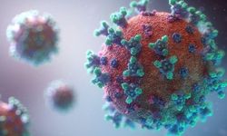 9.000 Yıllık Direnç: HIV'e Karşı Koruyucu Genin Kökeni Ortaya Çıktı