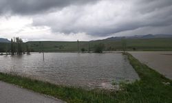 Karasu Nehri Taştı, Tarım Arazileri Sular Altında Kaldı