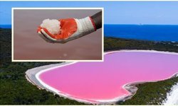 Senegal’in Pembe Harikası: Retba Gölü Büyülüyor
