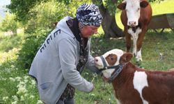 Gürcistan’dan Erzincan’a Uzanan Umut