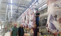 Erzincan’da mezbahalara sıkı denetim