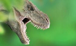 Dev Gibi Beden, Kısa Ömür: Dinozorların Yaşam Süresi Neden Bu Kadar Kısaydı?