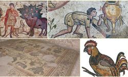 1500 Yıllık Renkli Hikâye: Germanicia Mozaikleri