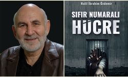Bir Hücrenin İçinden Yükselen Çığlık: Sıfır Numaralı Hücre