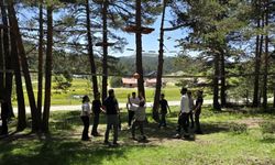 Erzincan’da 15 Temmuz’dan itibaren  yasaklanacak