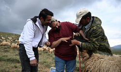 Veterinerler Dağ Tepe Demeden Sahada