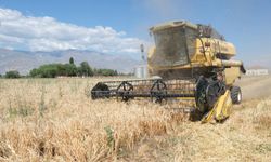 Erzincan  Tarlalarında Hasat Mesaisi Başladı