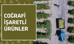 Coğrafi İşaretli Ürünler ile Ticari Markalar Arasındaki Kritik Farklar: Bölge Kimliği ve Hakların Gizemi