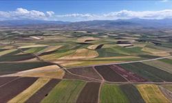 Tarımsal girdi fiyat endeksi (Tarım-GFE) yıllık %33,66 arttı, aylık %2,04 arttı