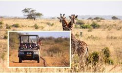 Afrika’nın Kalbinde 5 Efsane Safari Noktası: Vahşi Yaşamın İzinde