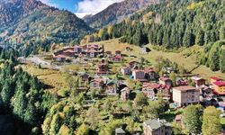 Karadeniz’in Zirvesinde Saklı Cennetler: Türkiye’nin En Güzel Yaylaları