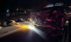 23 Küçükbaş Hayvan kazada telef oldu