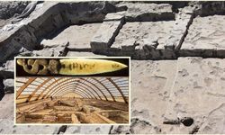 8000 Yıllık Sır! Çatalhöyük’te Yılan Saplı Bıçak