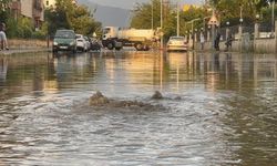 Erzincan’da Sağanak ve Fırtına Hayatı Felç Etti: Ağaçlar devrildi, Çatılar Uçtu, Araçlar Zarar Gördü (VİDEO)