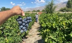 Erzincan’ın iki lezzeti, dünyaya listesine girdi!