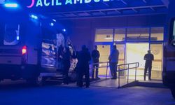 Erzincan’da Tavuk Döner Alarmı: 11 Öğrenci Zehirlenme Şüphesiyle Hastaneye Başvurdu