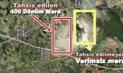 Erzincan Akyazı’da Mera Alanı Seraya Tahsis Edildi: Üreticiler Tepkili