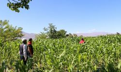 Boş Kalan Tarım Arazileri Kazanca Dönüşüyor!