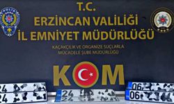Erzincan'da APP Plaka Operasyonu: 5 Gözaltı
