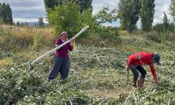 Erzincan’da Kış Mesaisi Başladı: Köylüler Odun Peşinde, Gözler Doğalgazda (VİDEO)