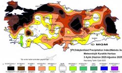 Doğu Anadolu'da Kuraklık Alarmı: Erzincan Da Risk Altında