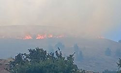 Refahiye'de Çıkan Arazi Yangını, onlarca dönüm alanı küle çevirdi (VİDEO)