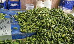 Erzincan Pazarında Güldüren Kış Hazırlığı: "Abla Seçmek Yok"