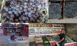 Erzincan’ın Şifalı Cimin Üzümü, Tatilcilerin Gözdesi Oldu!