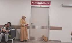 Erzincan Kadın Doğum Acil Kapısında Şaşırtan Misafir!