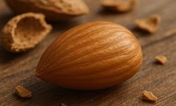 Aynı Gibi Görünüyorlar... Ama Gerçek Bambaşka!